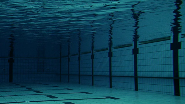 男子游泳运动员跳入泳池视频下载