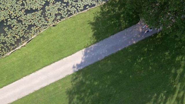 四个跑步者沿着公园的一个湖跑步视频素材
