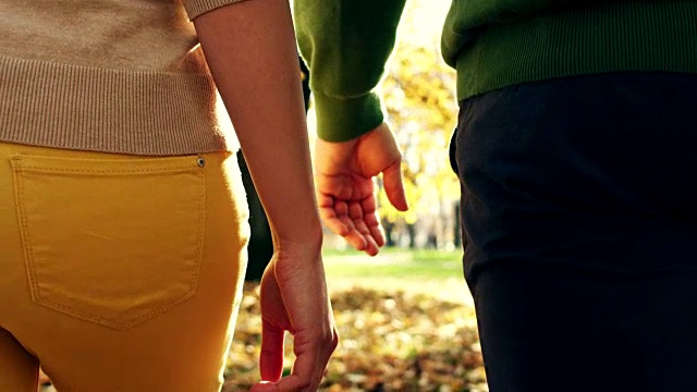一对年轻夫妇在公园里牵着手视频素材