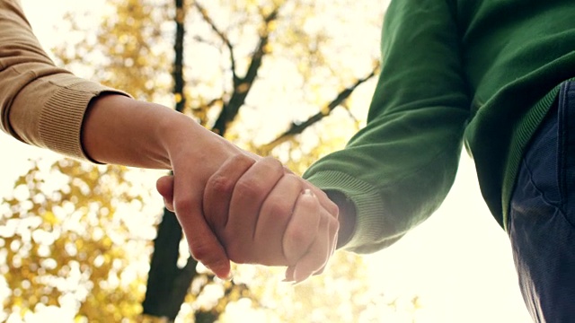 一对年轻夫妇在公园里牵着手视频素材