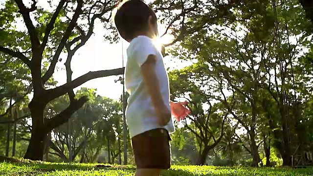 小男孩在日落背景的公园里学习。视频素材