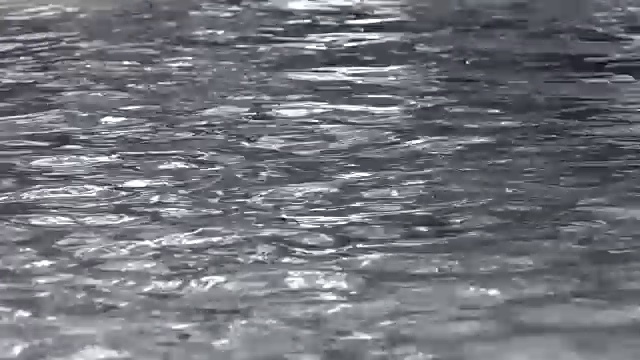 温柔的海浪在弗朗西诺内河视频下载