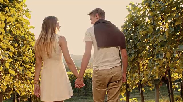 SLO MO情侣漫步在葡萄园里视频素材