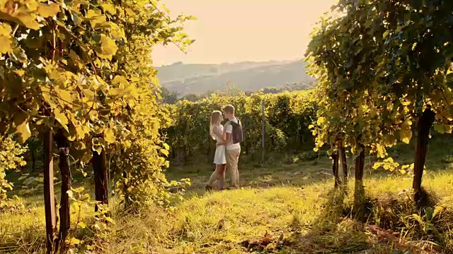 葡萄园里一对深情的情侣视频素材
