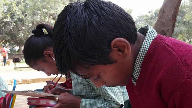 一群年轻的印度学生在户外课堂上忙着学习视频素材