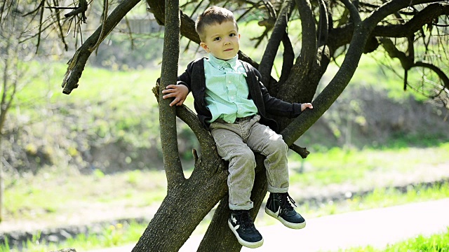男孩坐在树上视频下载