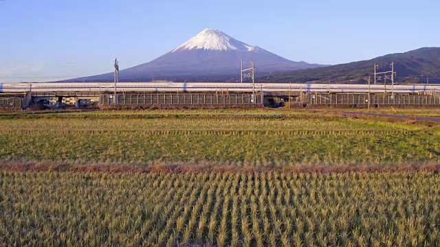 日本，本州，富士山，新干线子弹列车通过收获的稻田下的积雪覆盖的火山视频素材