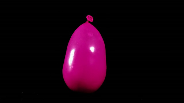 cuslo MO拍摄的充满水的粉红色气球在黑色背景下降落/卡尔瓦多斯，诺曼底，法国视频下载