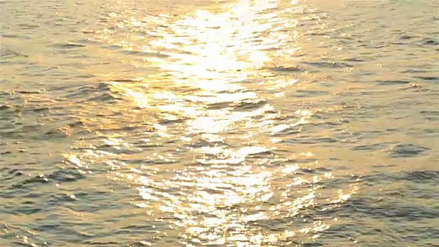 高清淘金:河流中阳光和晚上的船只交通。视频素材