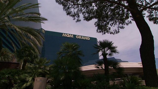 棕榈树在内华达州拉斯维加斯的米高梅大酒店和赌场前摇摆。视频素材