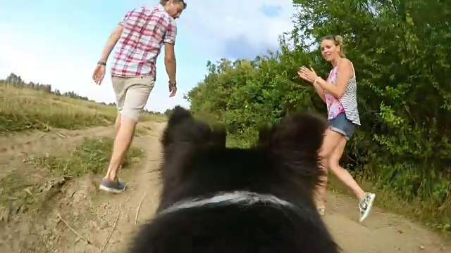 狗在大自然中散步与一个年轻的家庭视频下载