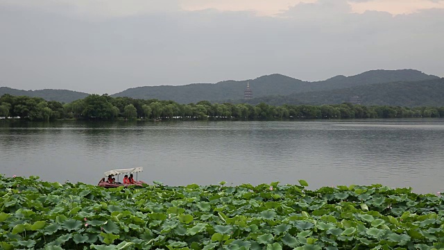 中国杭州西湖上的荷花和船视频下载
