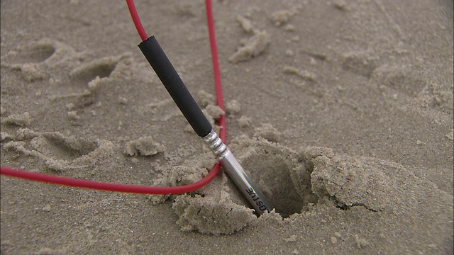 一根戴着橡胶手套的手指将保险丝插进沙子里。视频下载