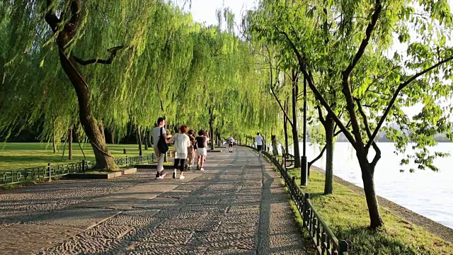 夏天，人们在西湖岸边的柳树荫下散步，中国杭州视频下载