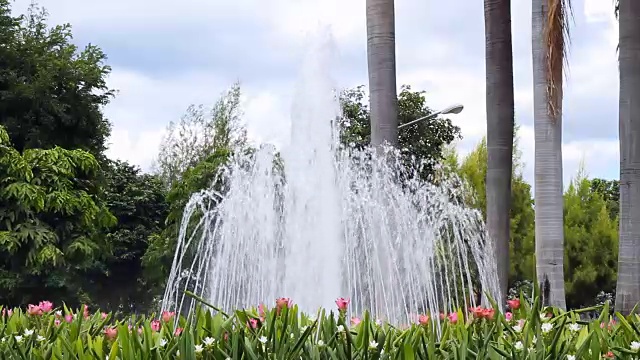 喷泉视频下载