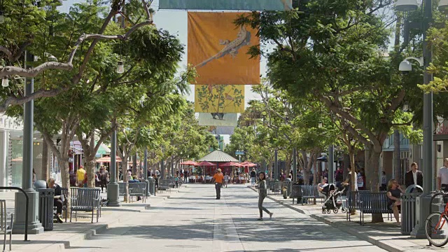 圣塔莫尼卡第三大街上飘扬的旗帜视频素材