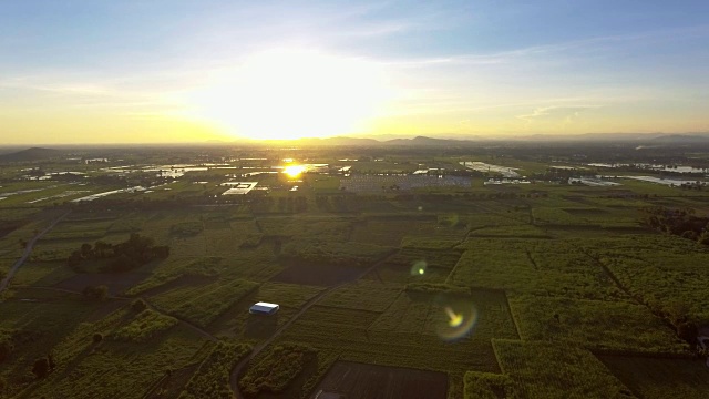 空中:日出时飞过麦田视频素材