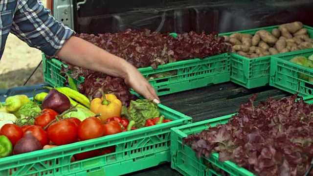 一位女農民正在卸載她的蔬菜運輸車視頻下載