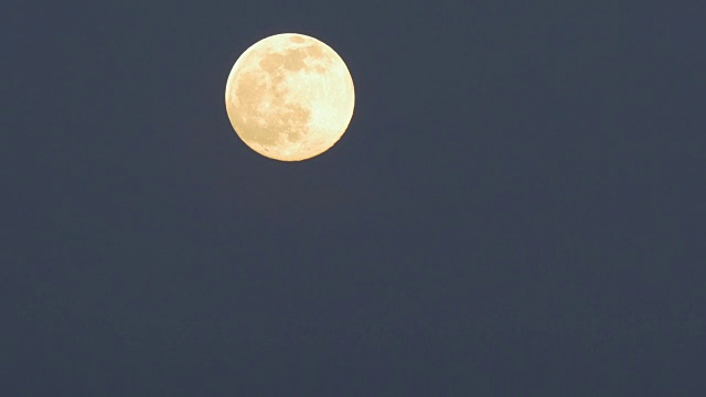 德克萨斯州达拉斯市上空满月升起的特写视频素材