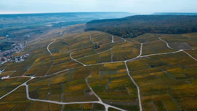 法国马恩香槟产区秋季葡萄酒视频素材