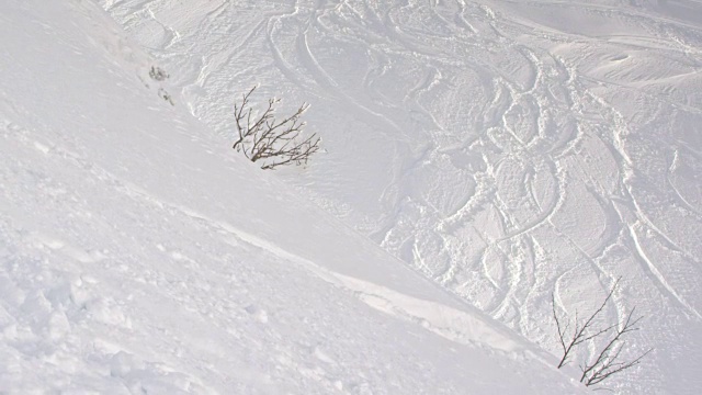 SLO MO男性滑雪者在粉状雪中滑下山坡视频素材
