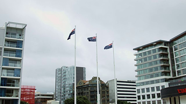 惠灵顿上空飘扬的新西兰国旗视频素材