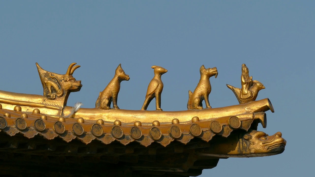 中国北京，太和殿檐角的动物雕塑视频素材
