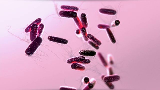 电脑生成的紫色细菌在粉红色背景下漂浮和移动的图形视频下载