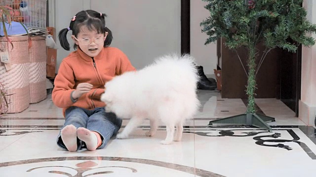 女孩和她的白色小狗视频下载