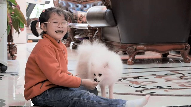 女孩和她的白色小狗视频下载