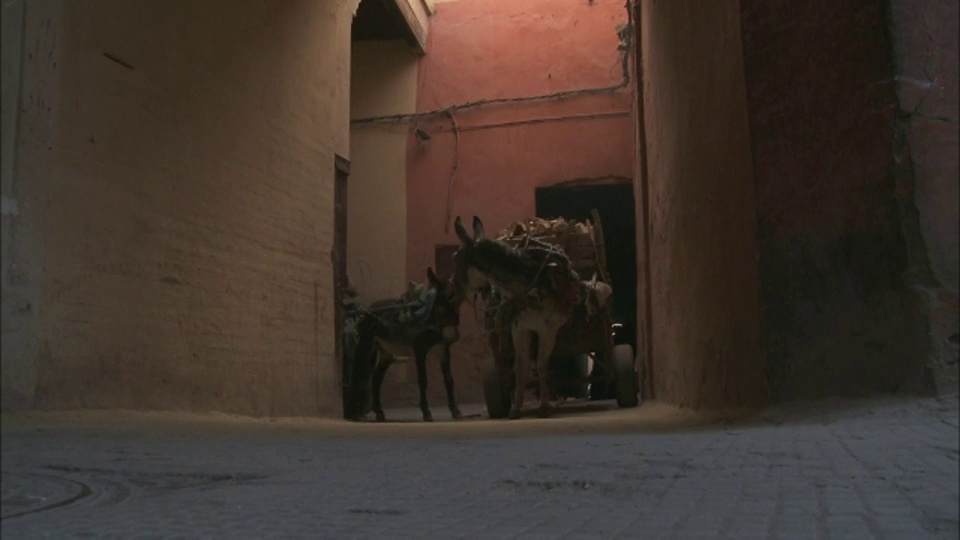 马拉喀什，一头驴拉着一辆车穿过街道。视频素材