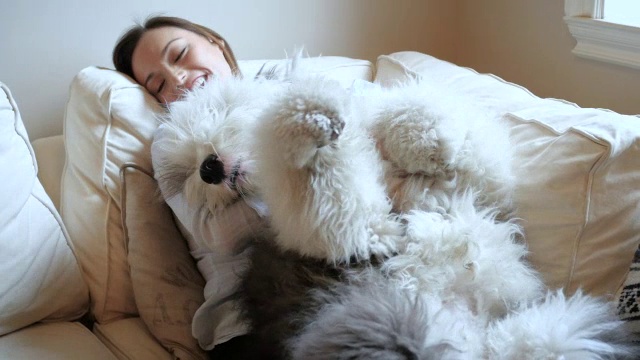 一个女人坐在沙发上抱着她的宠物狗的肖像视频下载