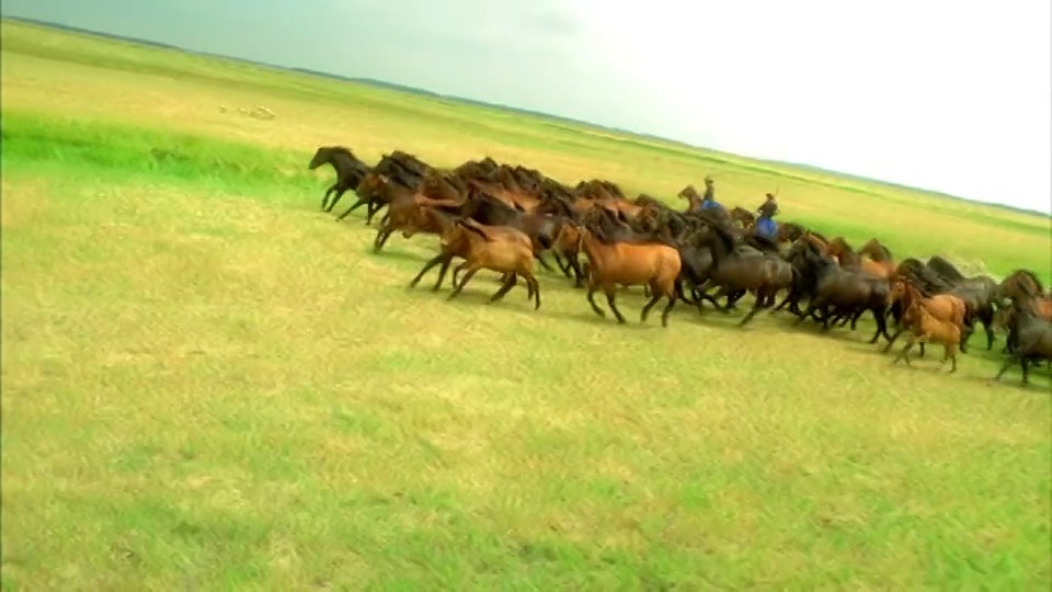 牧民们赶着野马穿过匈牙利大草原。视频下载