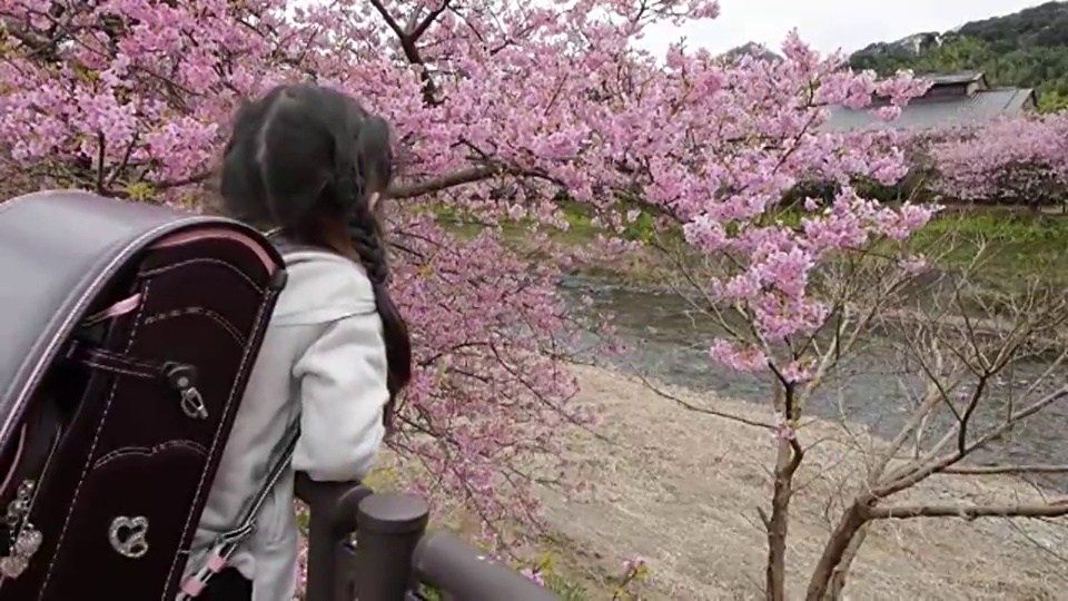 樱花和年轻的日本女孩与日本背包视频下载