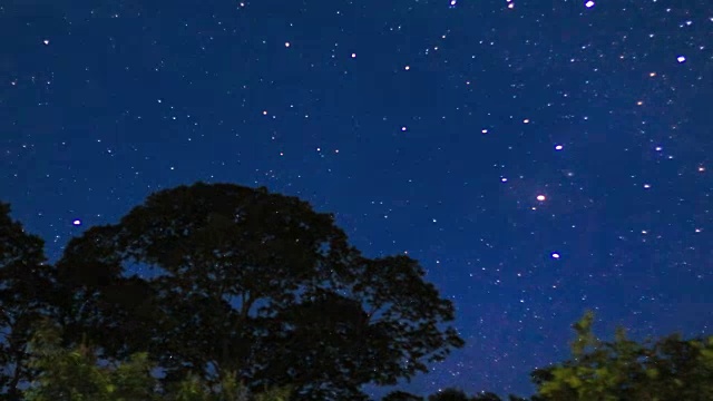 夜晚的星星和一些树视频素材