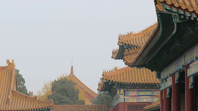 中国北京紫禁城视频素材