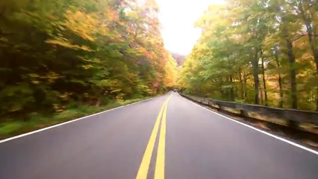 開車去新英格蘭找樹葉視頻素材
