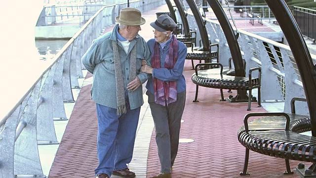 一对老年夫妇在城市海滨散步视频下载