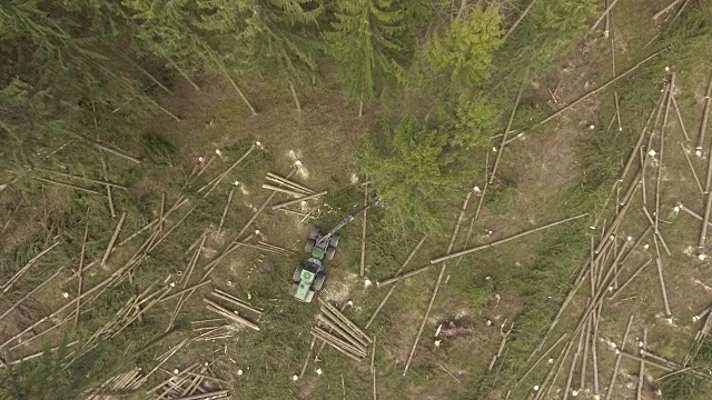 借助特殊设备进行森林砍伐视频下载