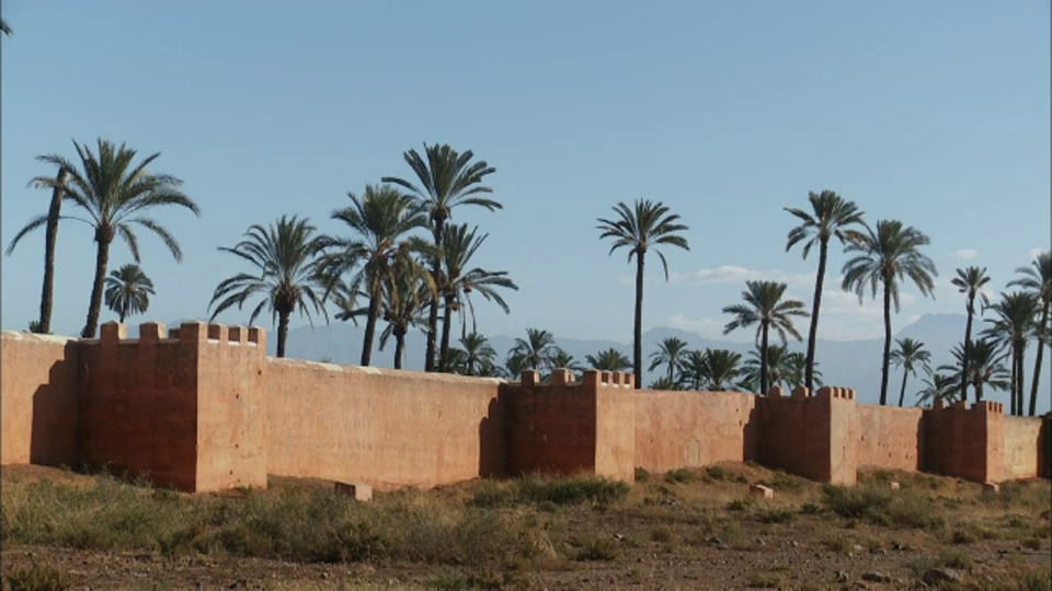 棕榈树生长在摩洛哥马拉喀什的城墙内。视频素材