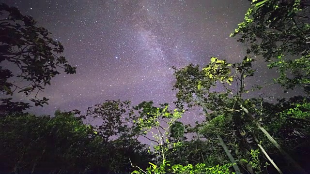 夜森林和银河视频素材