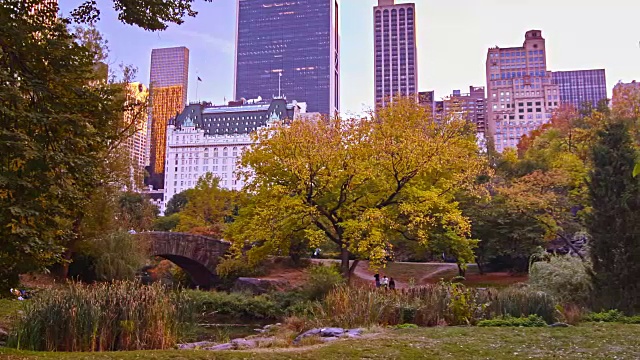 纽约，中央公园的天际线视频素材