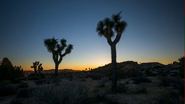 约书亚树沙漠景观在黄昏跟踪拍摄视频素材