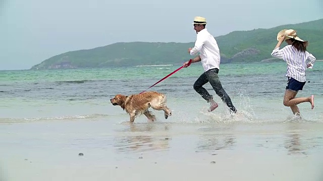年轻美丽的夫妇和他们的狗在海边玩慢镜头。视频下载
