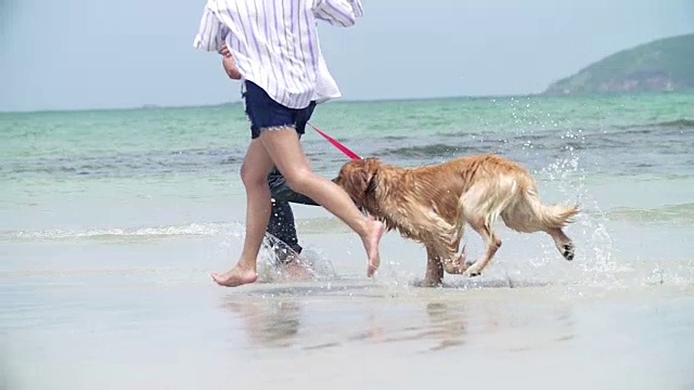 年轻美丽的夫妇和他们的狗在海边玩慢镜头。视频下载