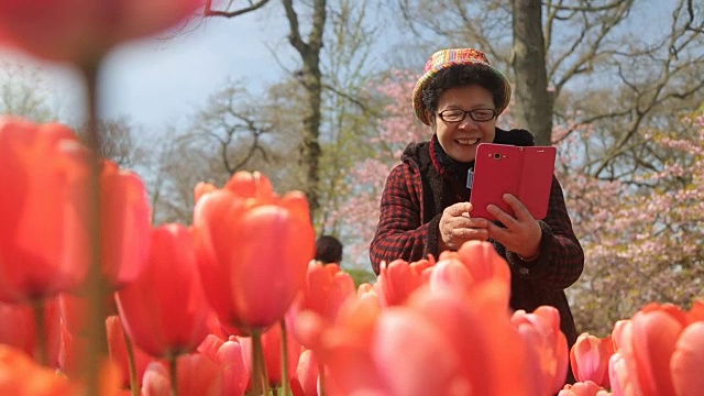 亚洲人在库肯霍夫用智能手机买郁金香花。视频下载