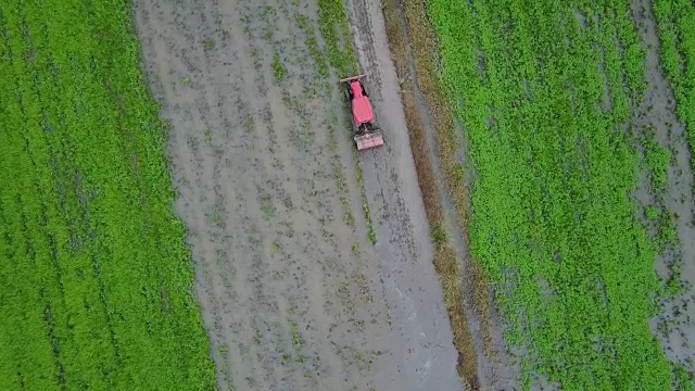 航拍图拖拉机在收获的田地在泰国视频素材