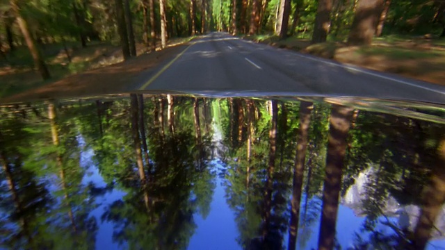 汽车视角，驾车穿过约塞米蒂国家公园/天空和树木反映在hood / CA视频素材