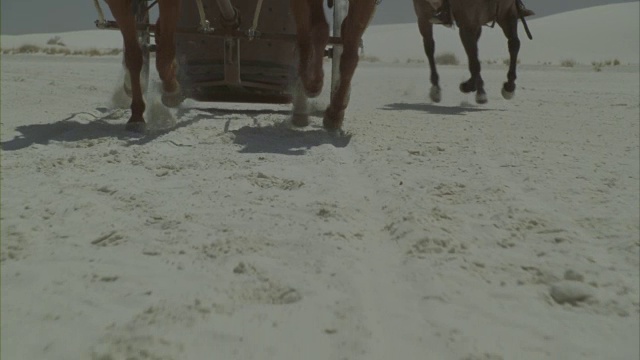 罗马士兵骑着战车穿越白色沙漠。视频素材