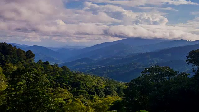 美王国家公园的热带雨林视频下载